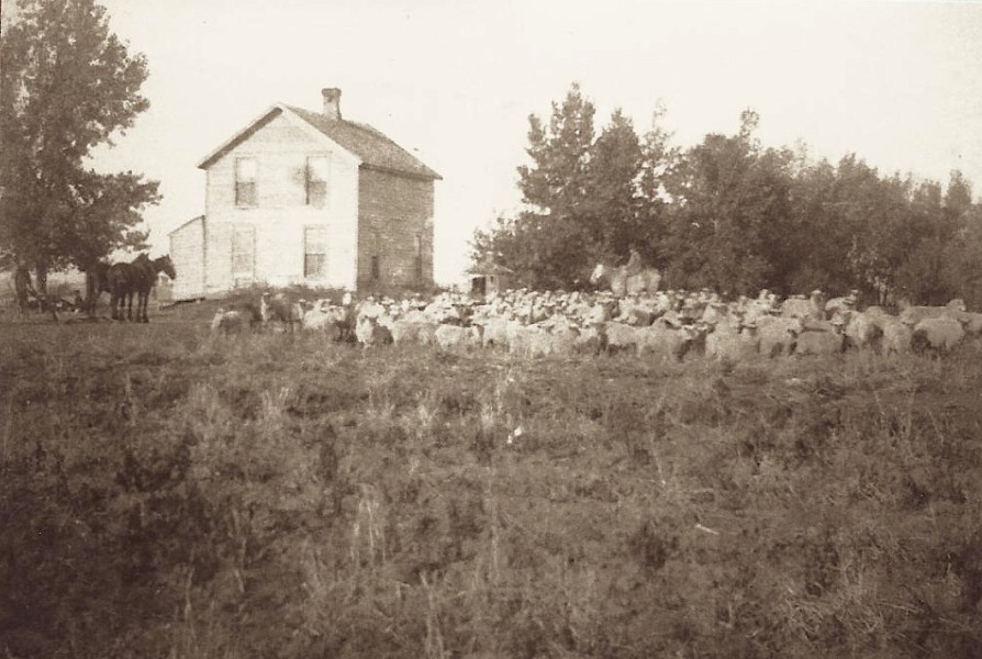 Catherine Langdon Home abt. 1890s Clear Lake, South Dakota